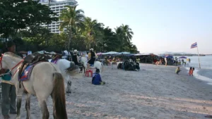 horse riding on holiday while being in hua hin on the beach