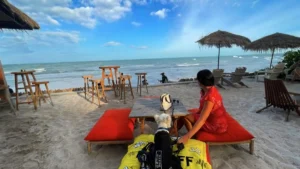 hua hin with pets on the beach at a restaurant