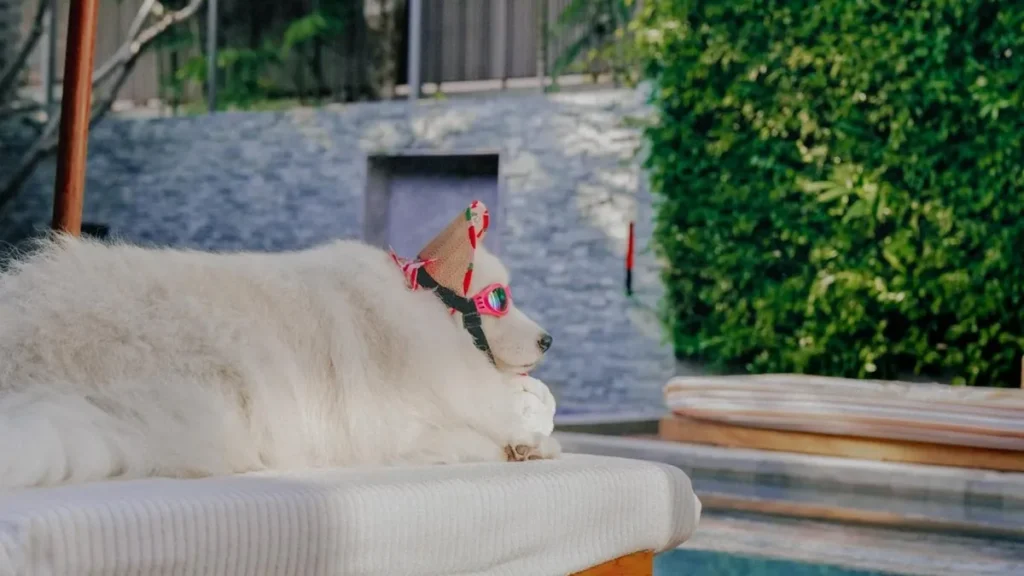 villa with a pet in hua hin